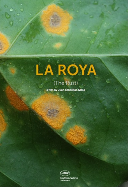 La Roya