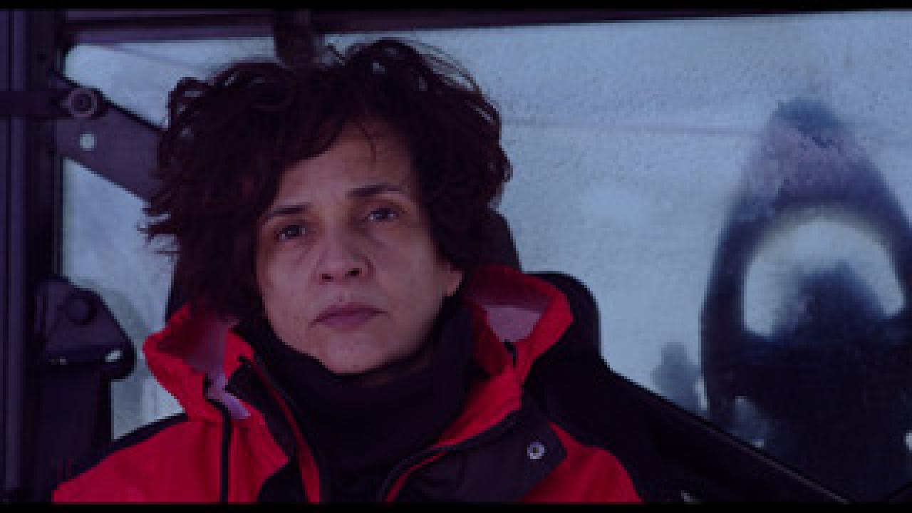 visuel Les cimes - smac films