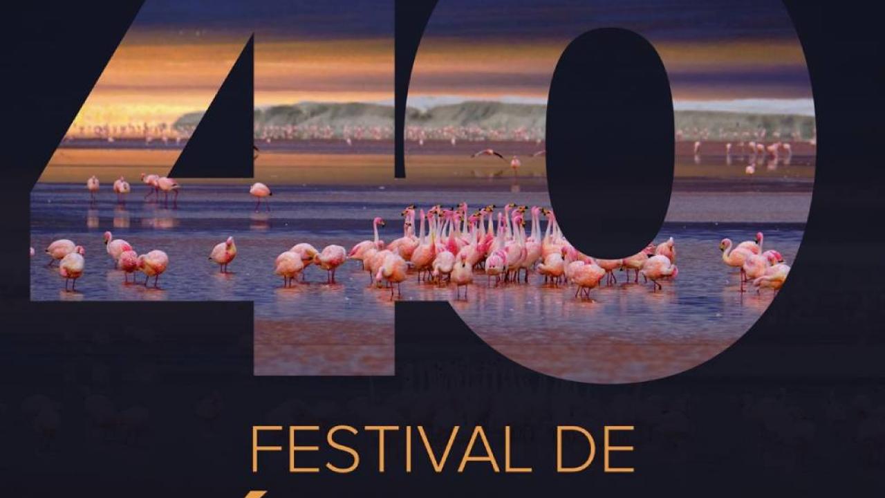 visuel Festival de Ménigoute