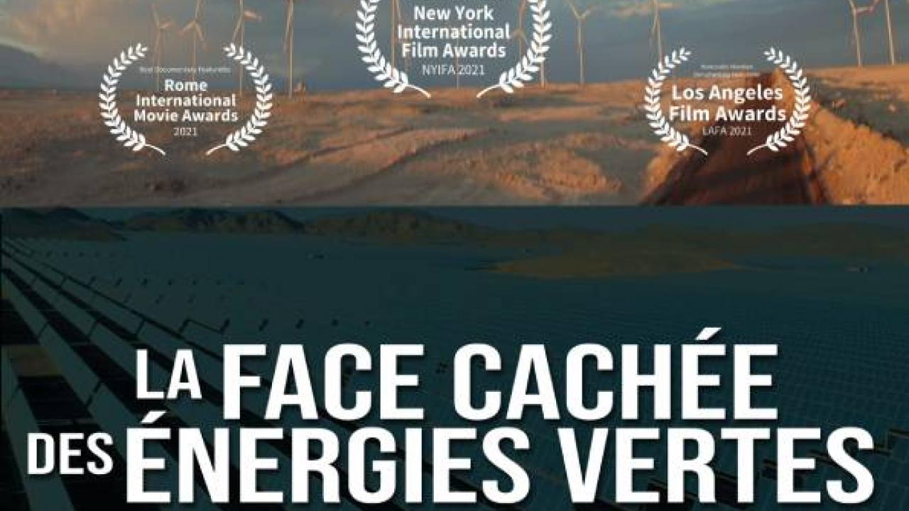 Affiche - La Face cachée des énergies vertes