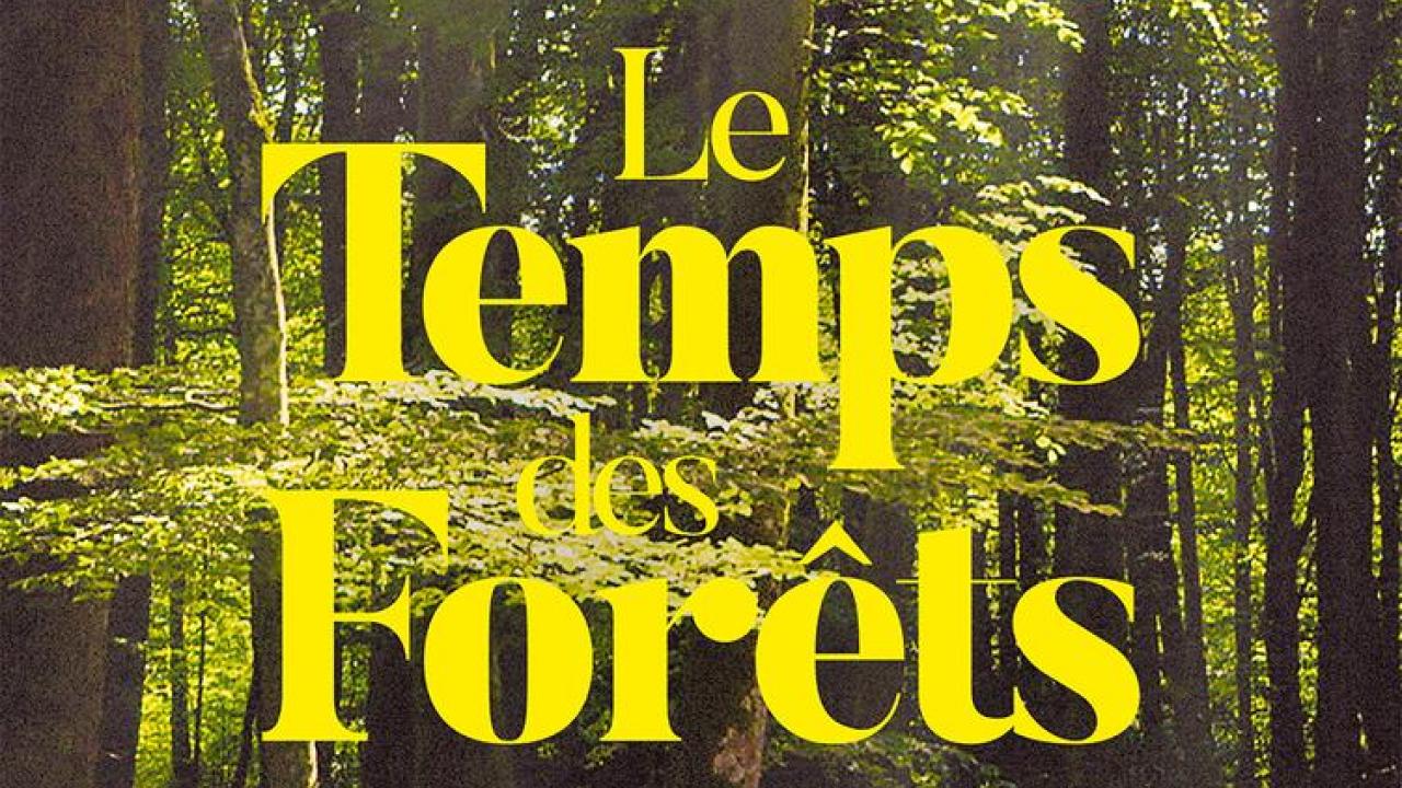 Affiche - Le Temps des forêts
