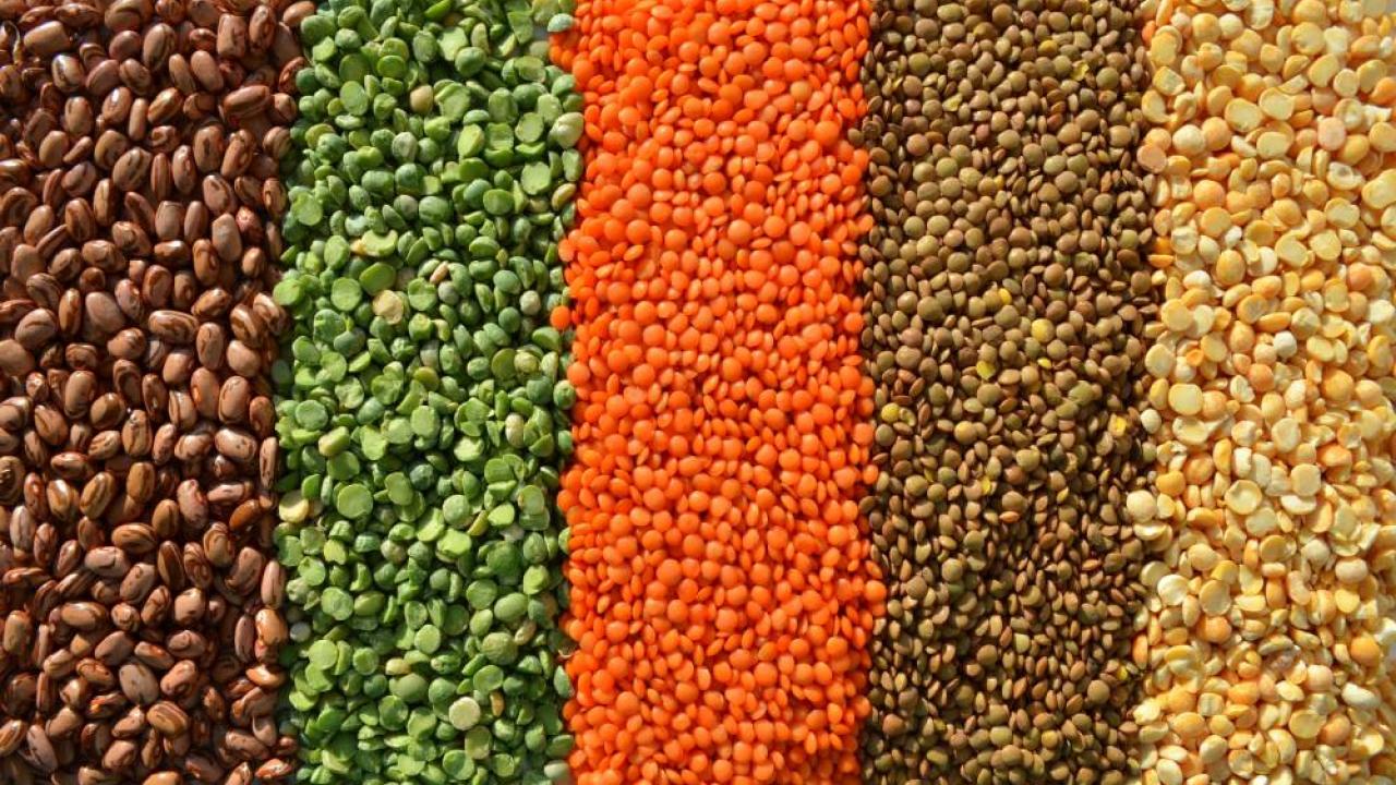 visuel alimentation © Yuliyam
