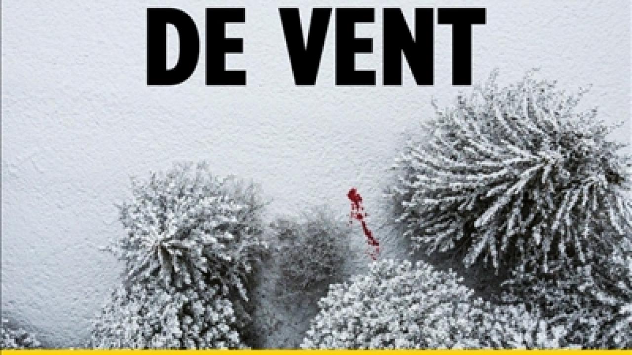 visuel De neige et de vent
