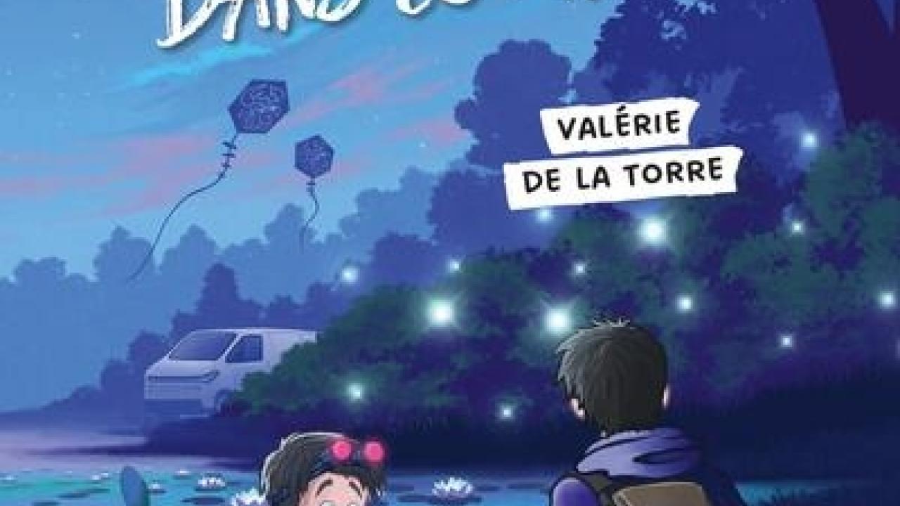 visuel Des lueurs dans le marais
