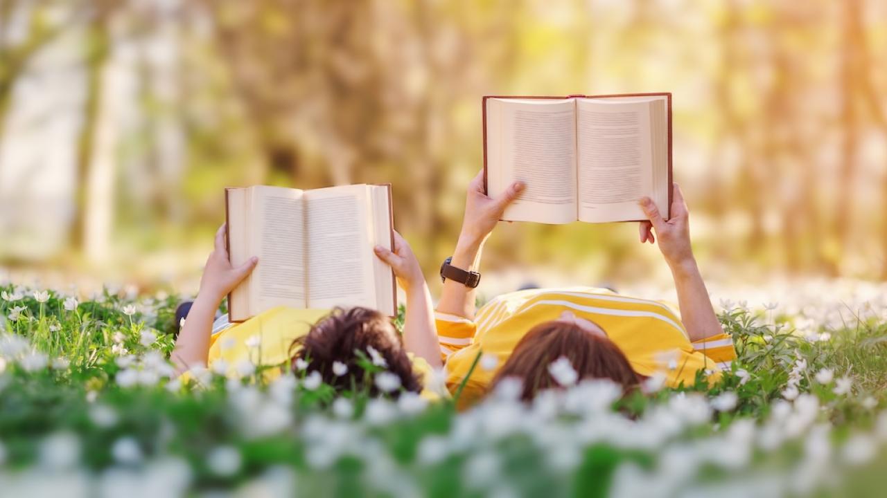 visuel Lecteurs - lecture