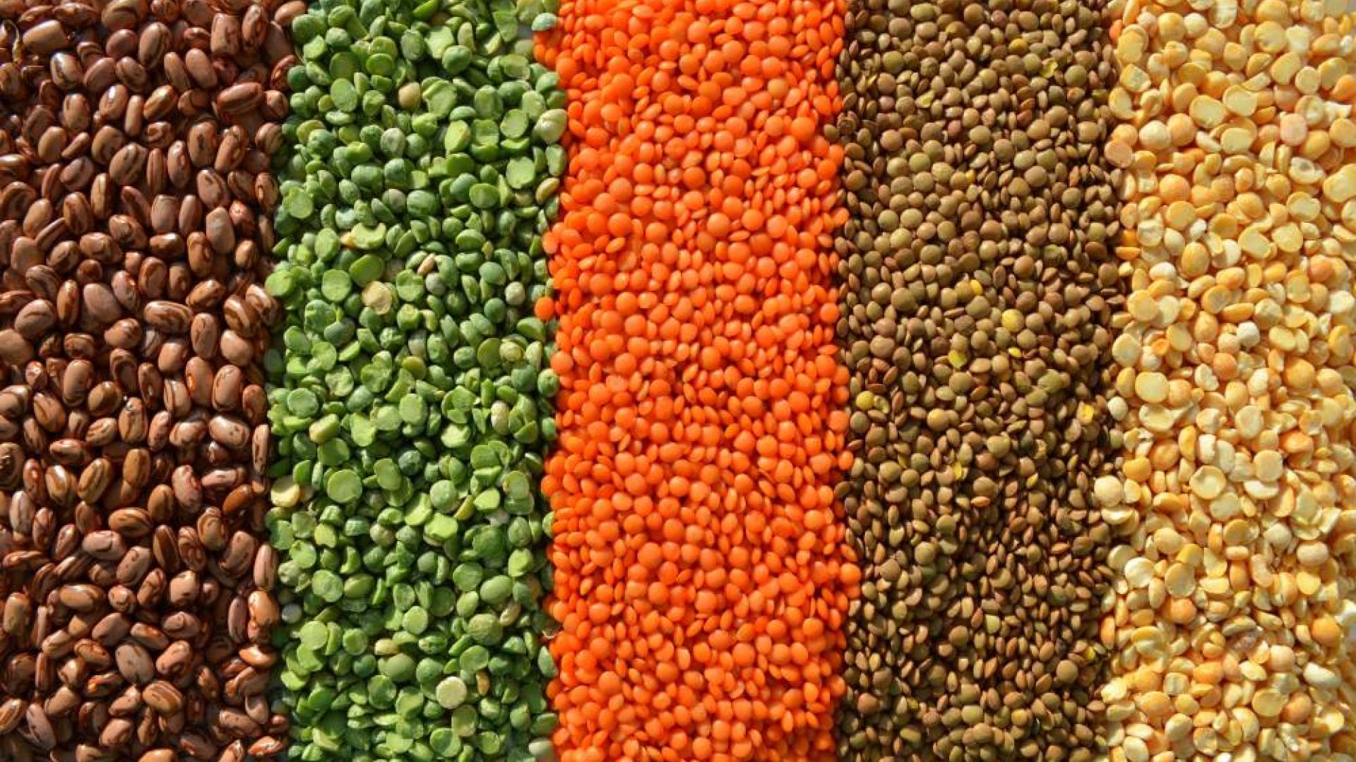 visuel alimentation © Yuliyam