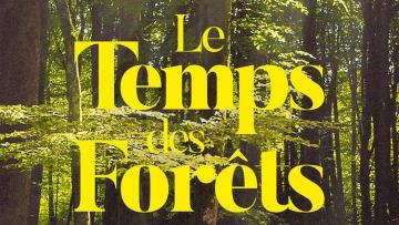 Affiche - Le Temps des forêts
