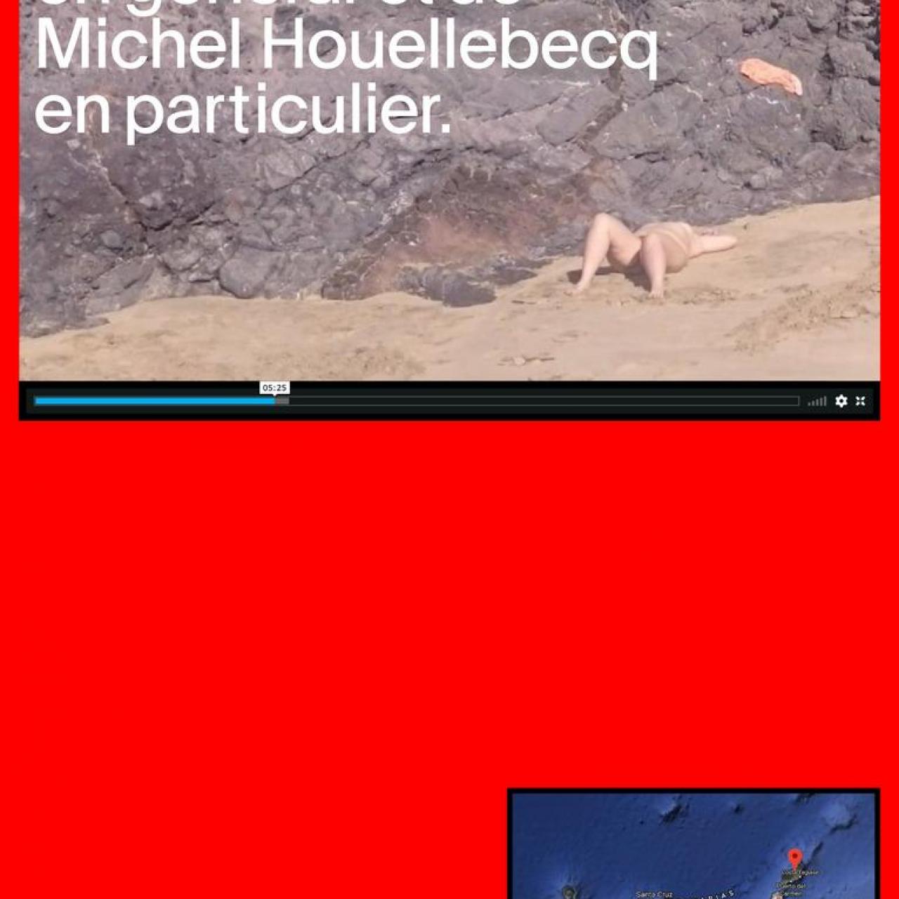 Affiche - À propos de Lanzarote en général et de Michel Houellebecq en particulier