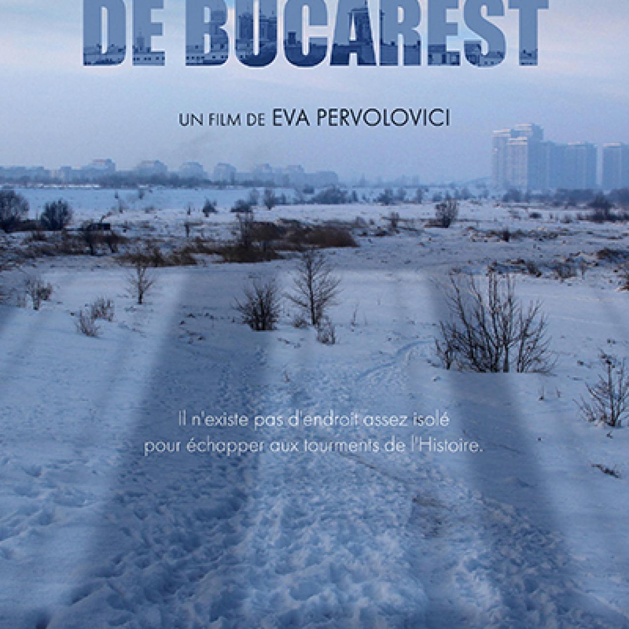 Affiche - Le delta de Bucarest
