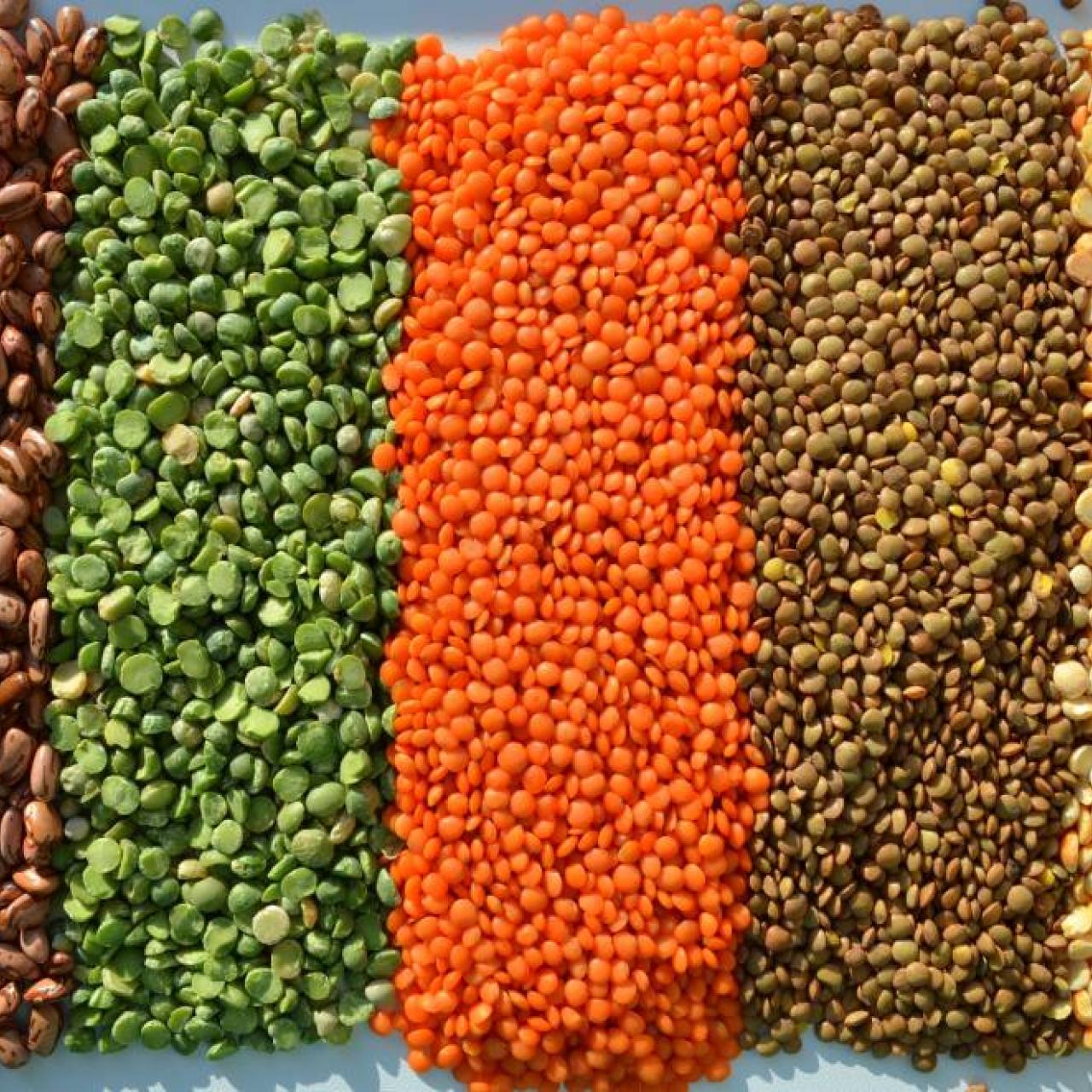 visuel alimentation © Yuliyam