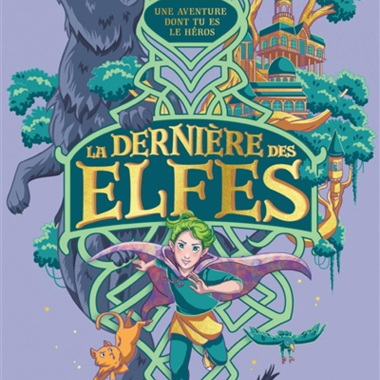 visuel la dernière des elfes