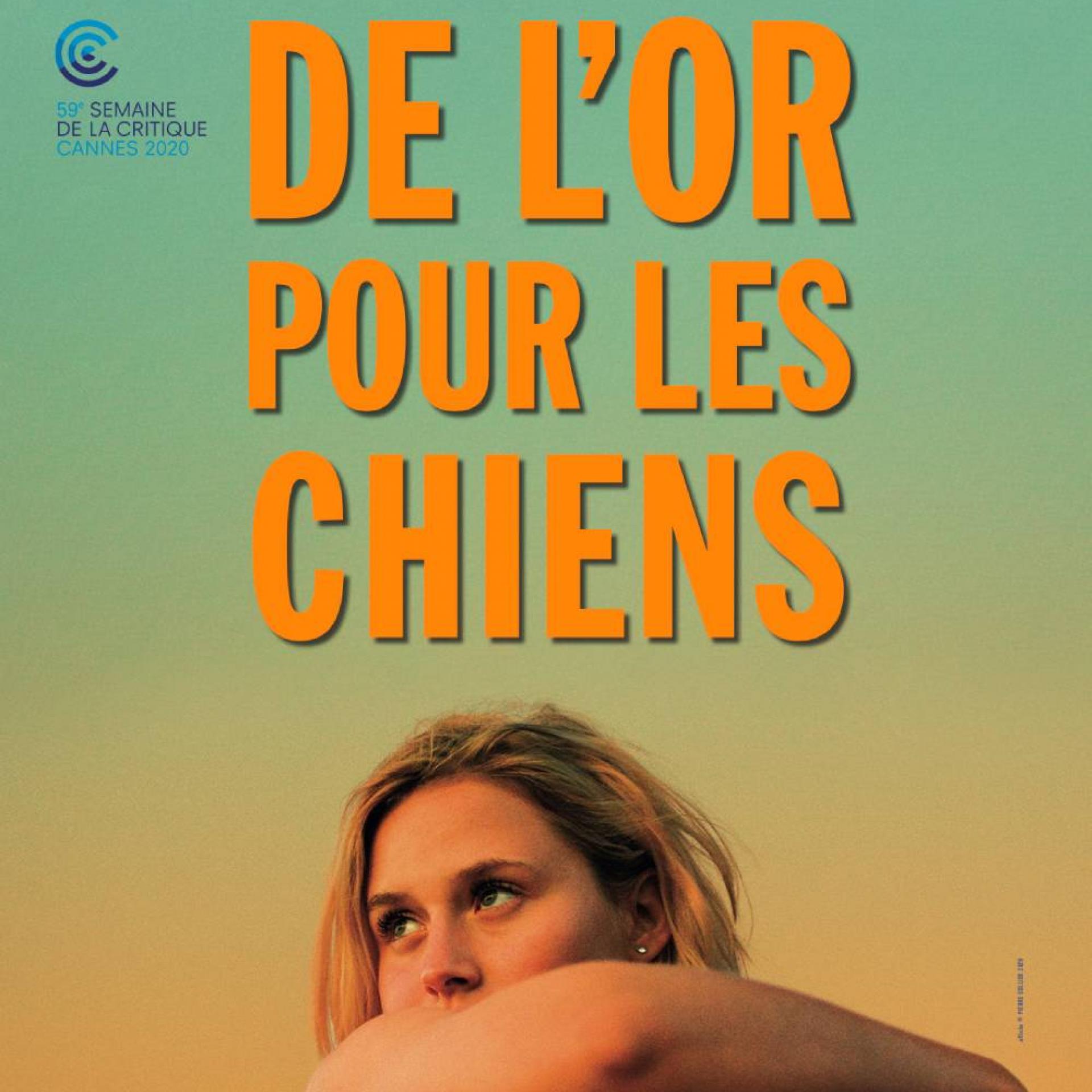 Affiche - De l'or pour les chiens