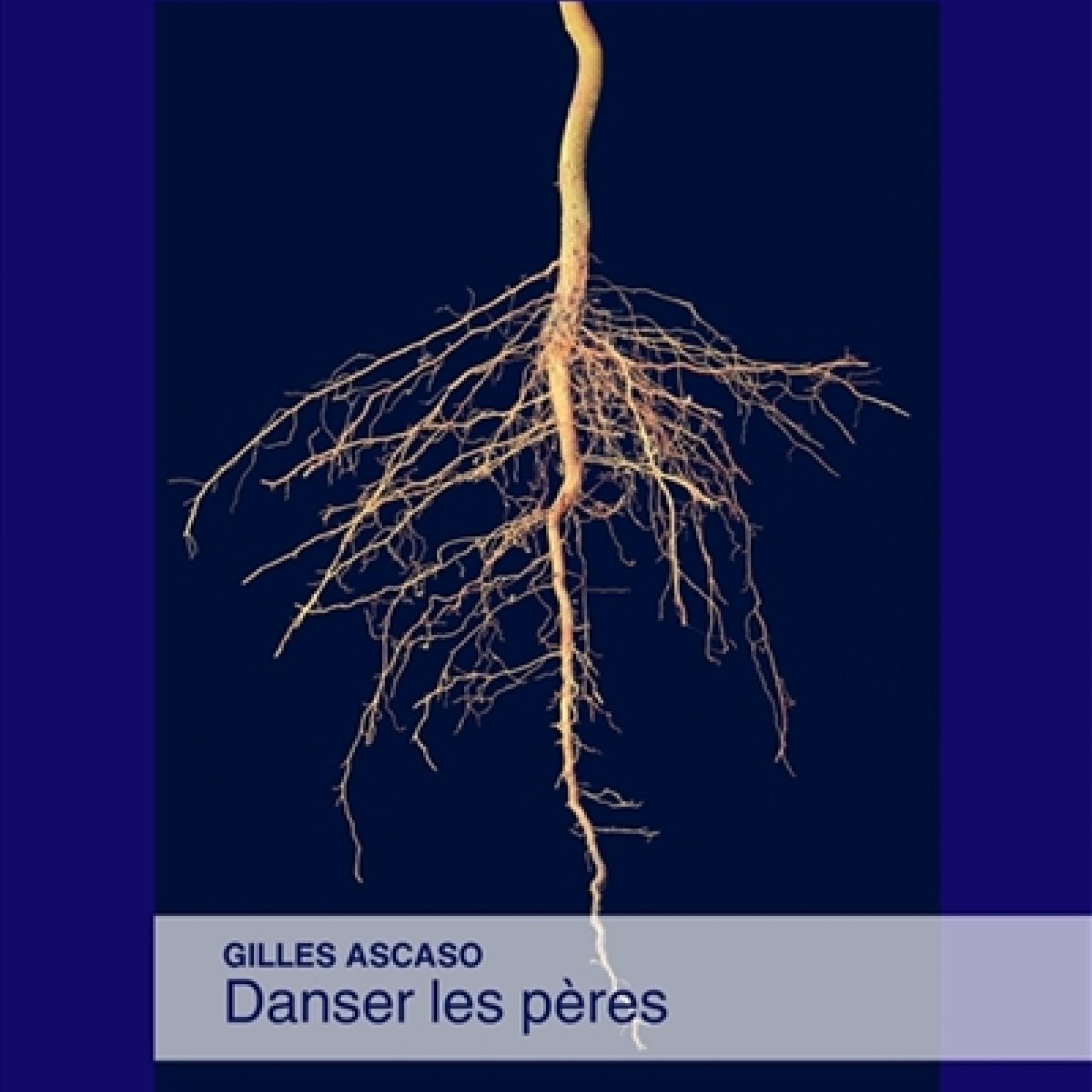 visuel Danser les pères