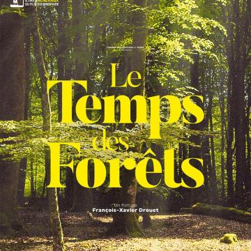 Affiche - Le Temps des forêts
