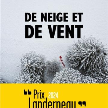 visuel De neige et de vent