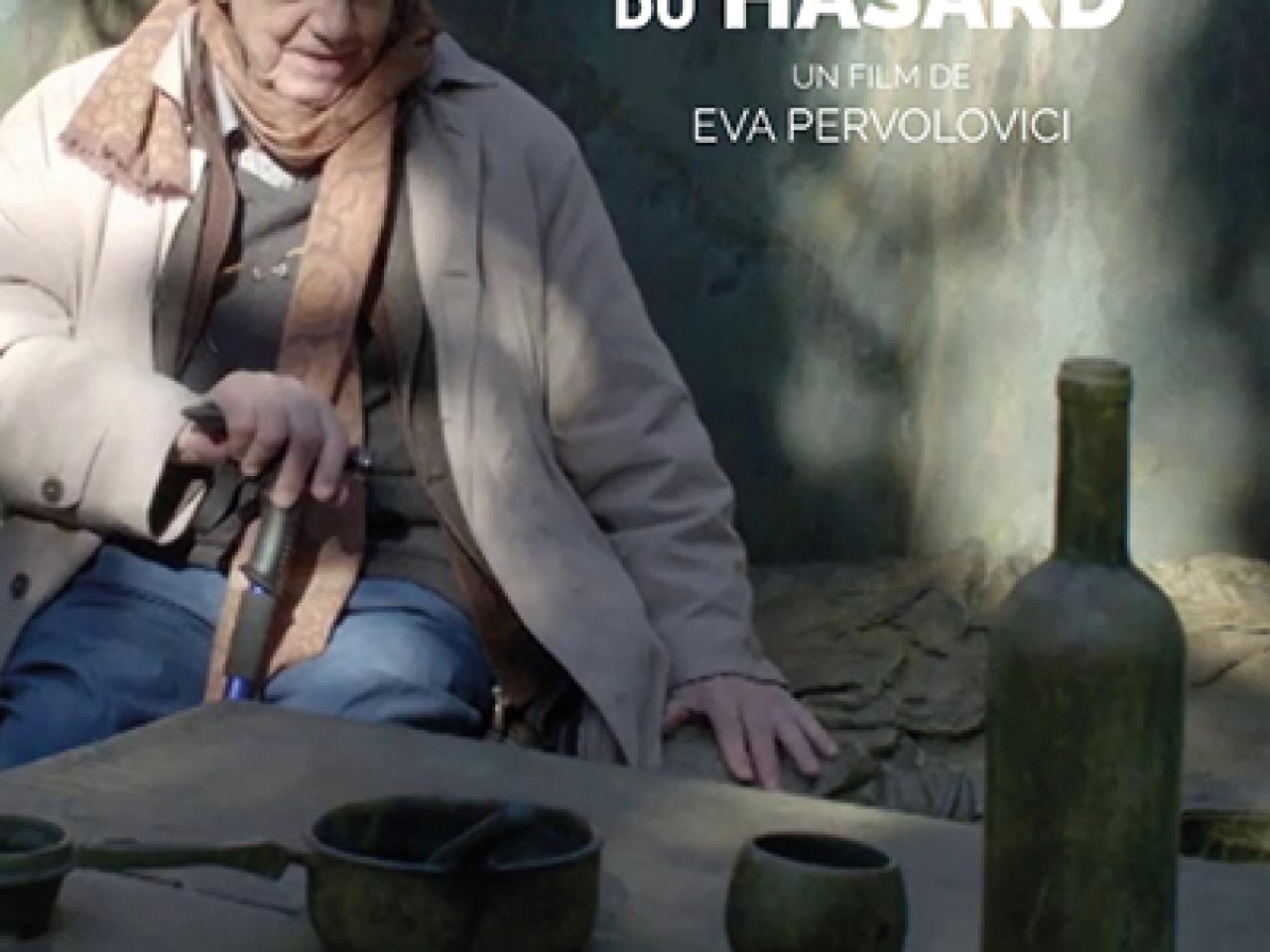 Affiche - Topographie du hasard