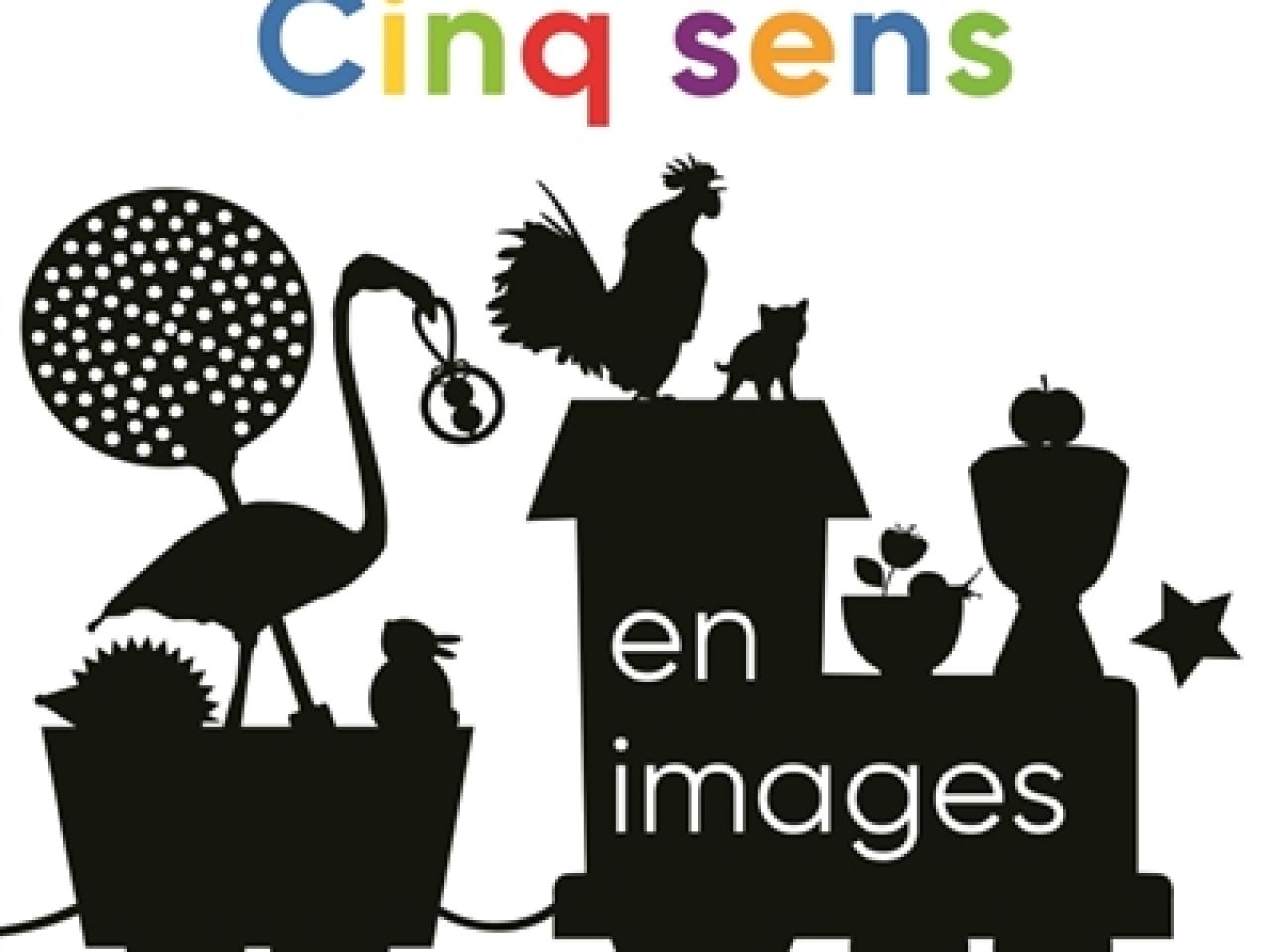 visuel cinq sens en images