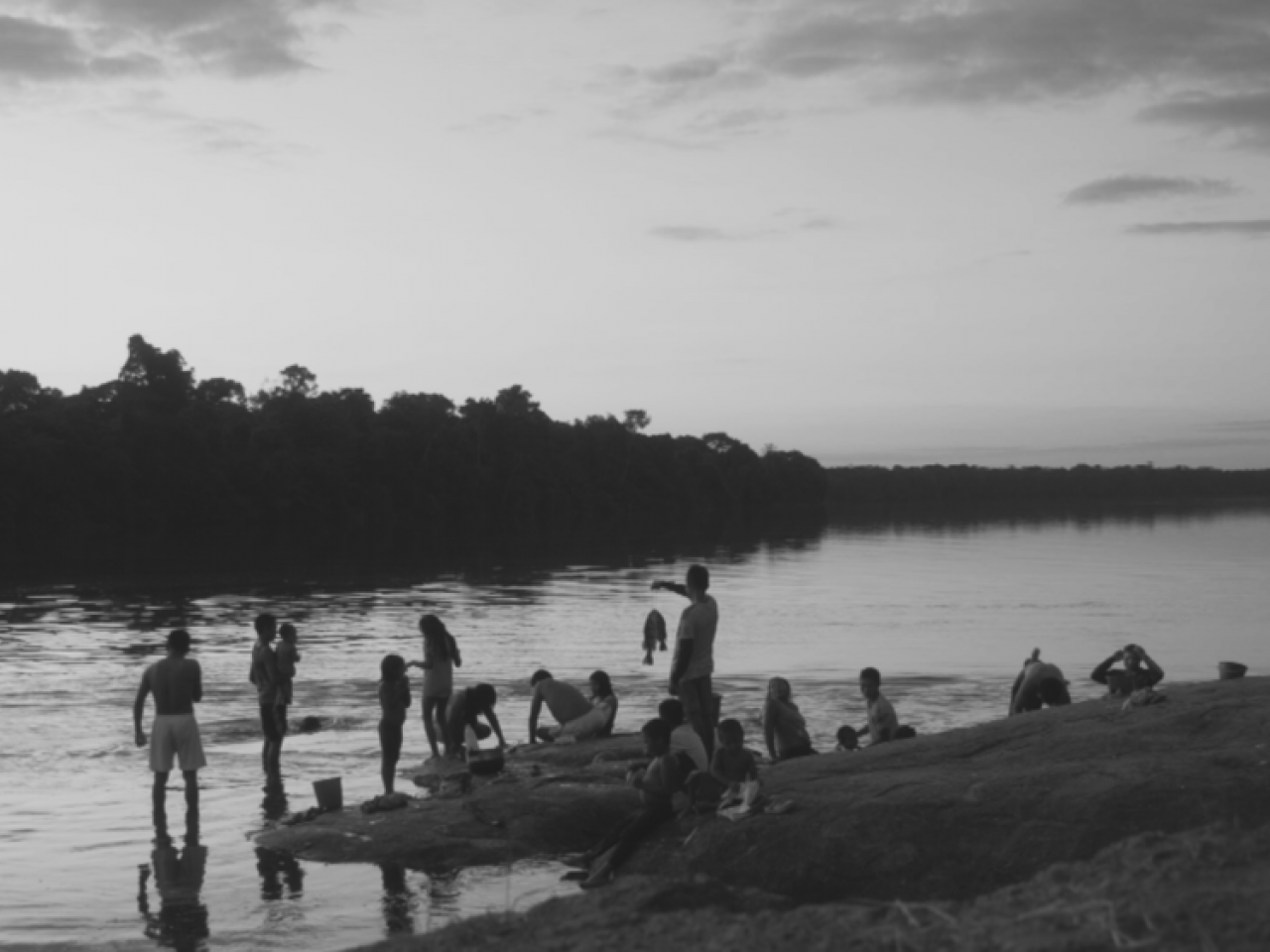 Adieu Sauvage