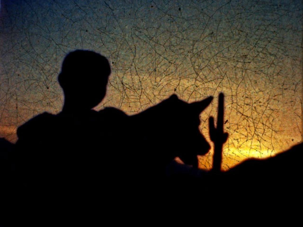 Visuel - Journal d'Amérique - Silhouette