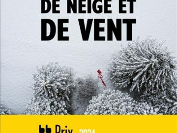 visuel De neige et de vent