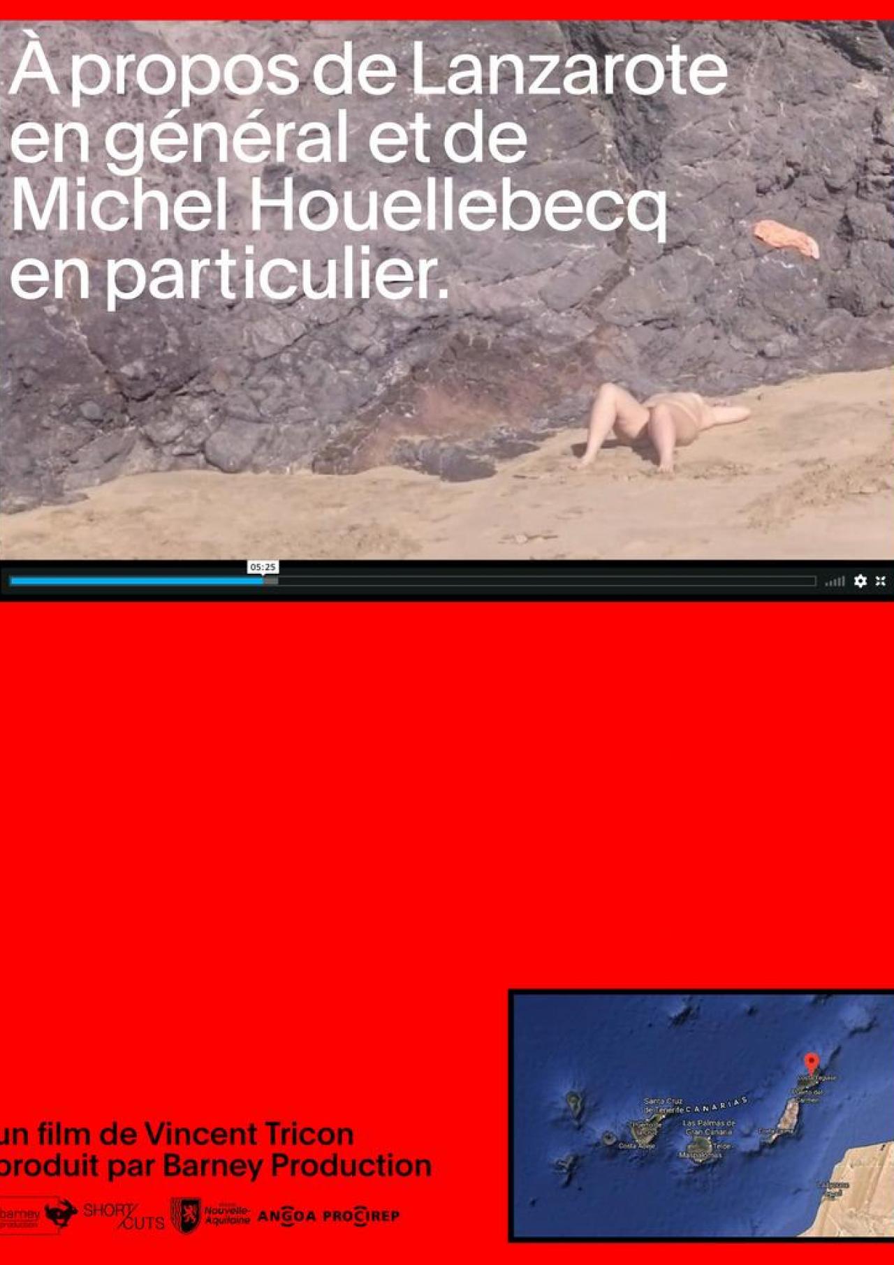 Affiche - À propos de Lanzarote en général et de Michel Houellebecq en particulier