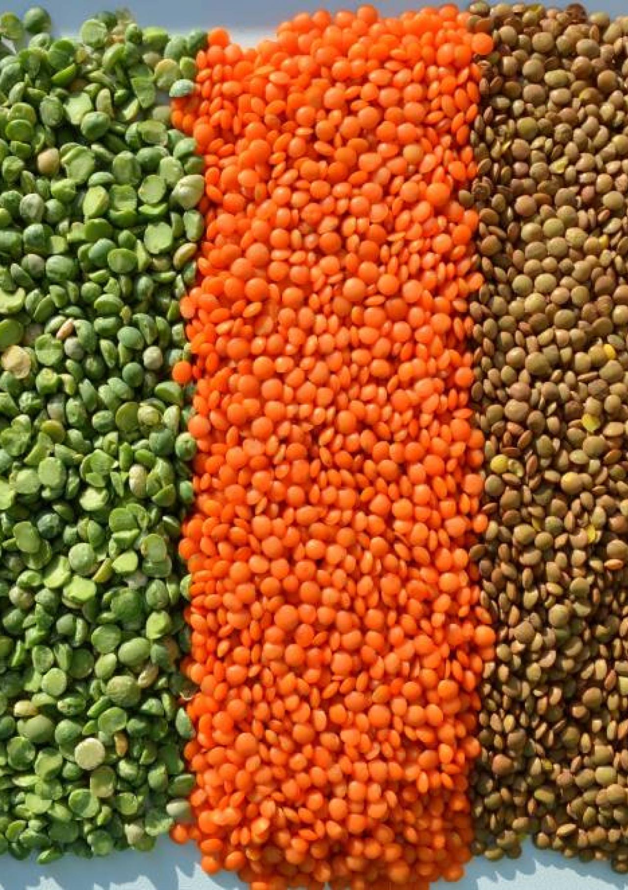 visuel alimentation © Yuliyam