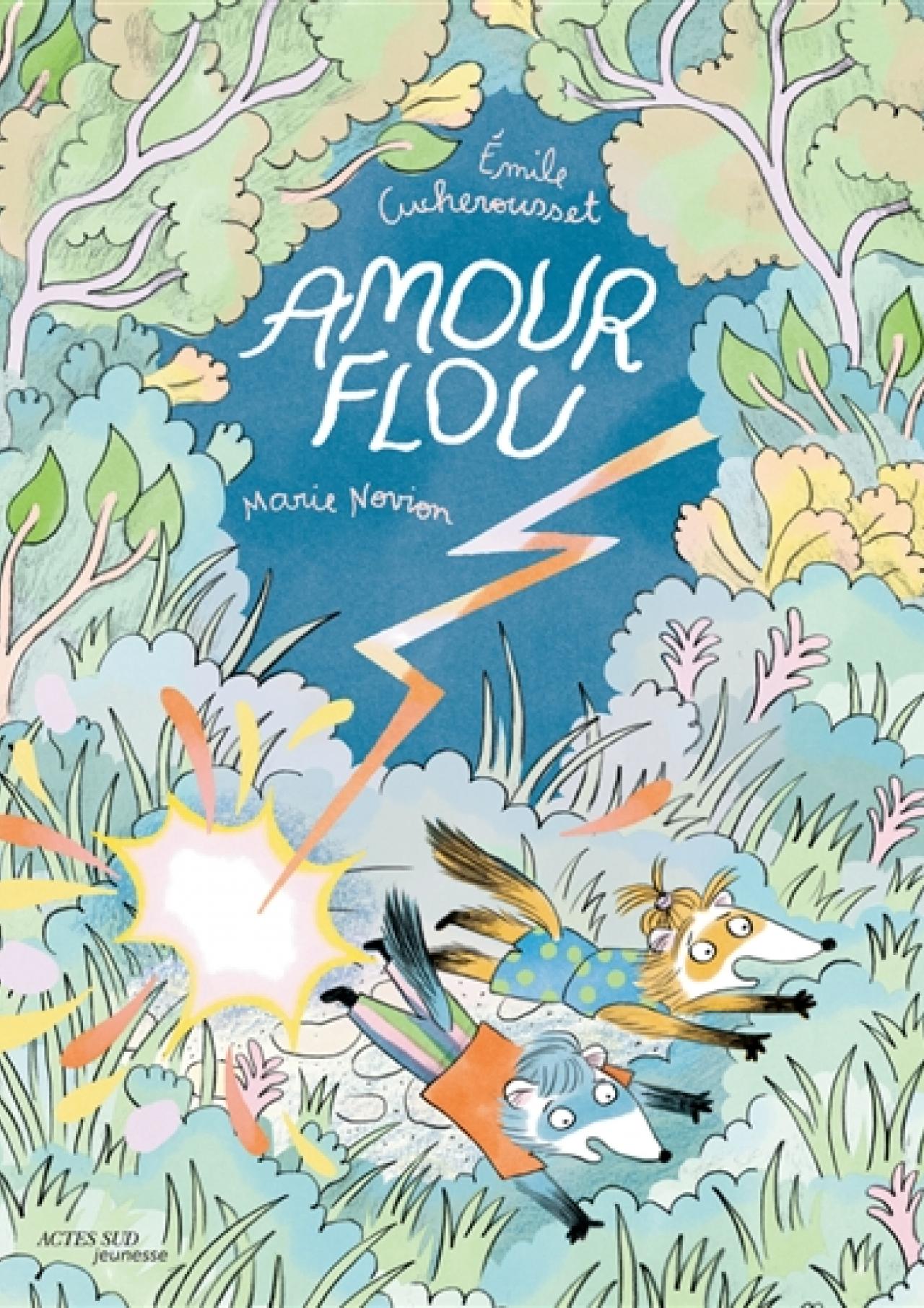 visuel Amour flou
