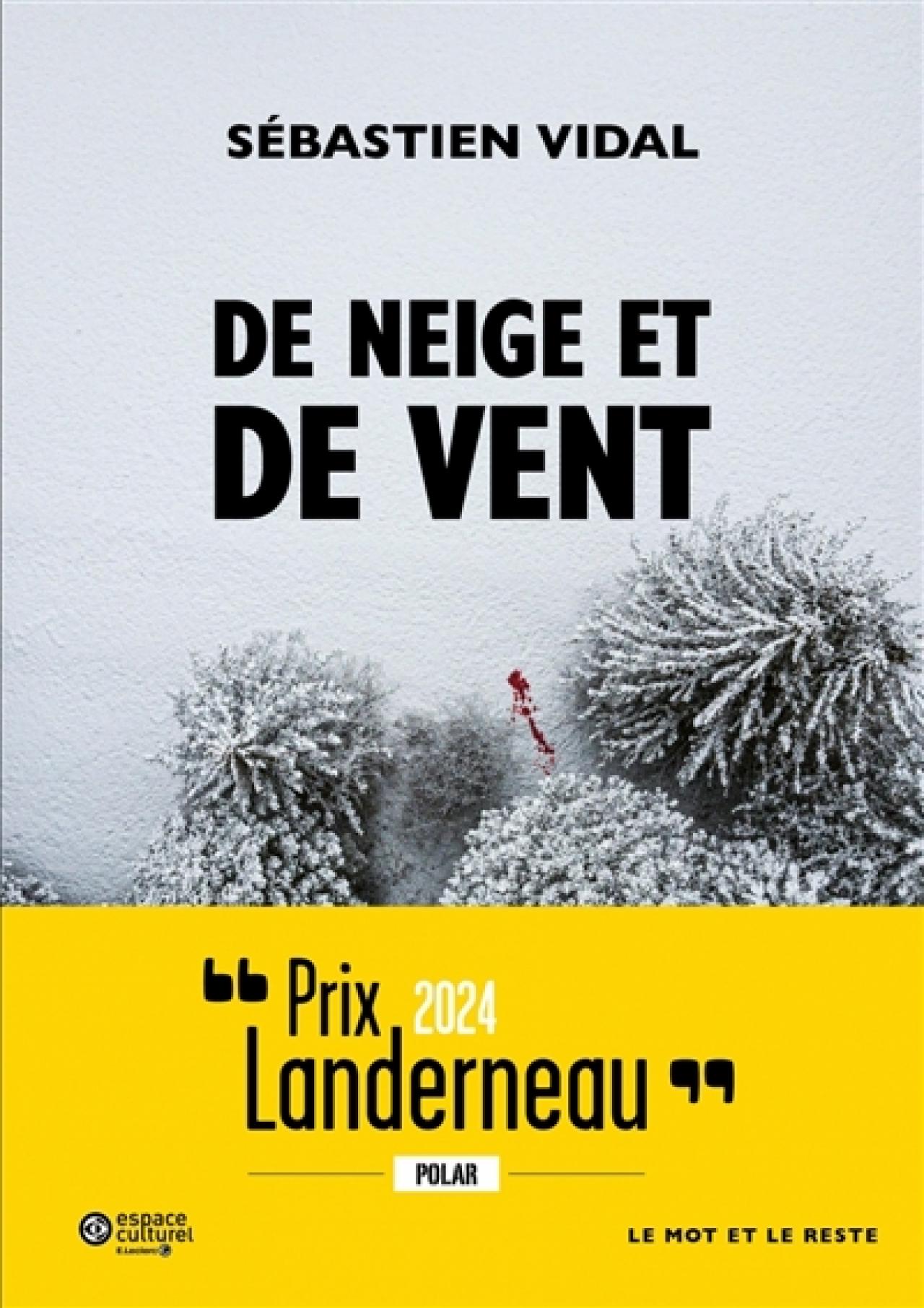 visuel De neige et de vent
