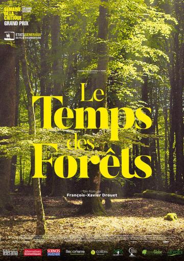 Affiche - Le Temps des forêts