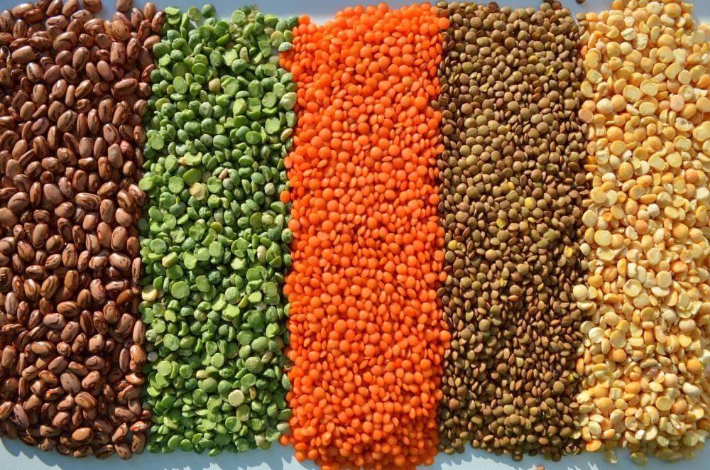 visuel alimentation © Yuliyam